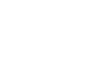 WISTON CAPITAL